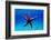 Mediterranean Rock Seastar - Coscinasterias Tenuispina-vojce-Framed Photographic Print