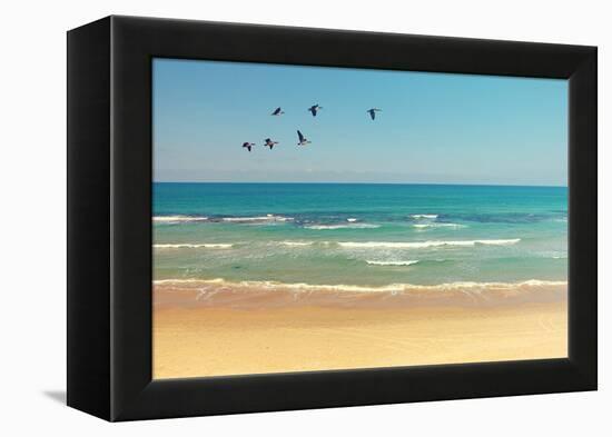 Mediterranean Sea and Sand Beach Landscape with Migrating Birds. Flock of Flying Canadian Geese in-Protasov AN-Framed Premier Image Canvas