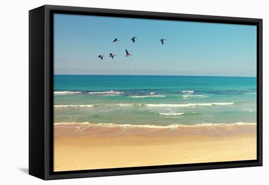 Mediterranean Sea and Sand Beach Landscape with Migrating Birds. Flock of Flying Canadian Geese in-Protasov AN-Framed Premier Image Canvas