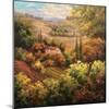 Mediterranean Valley Farm-Hulsey-Mounted Art Print