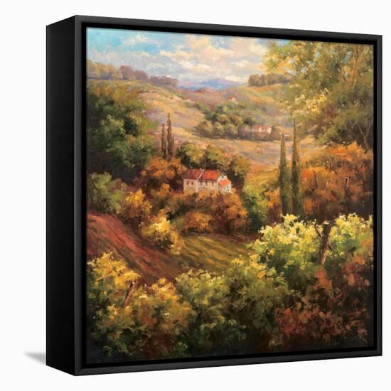 Mediterranean Valley Farm-Hulsey-Framed Stretched Canvas