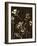 Medium Blossom Nocturne I-Megan Meagher-Framed Art Print