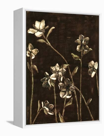 Medium Blossom Nocturne I-Megan Meagher-Framed Stretched Canvas