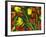 Medley of Colorful Tulips Isolated-Christian Slanec-Framed Photographic Print