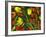 Medley of Colorful Tulips Isolated-Christian Slanec-Framed Photographic Print