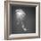 Medusa 1-Moises Levy-Framed Photographic Print