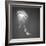 Medusa 1-Moises Levy-Framed Photographic Print