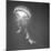 Medusa 1-Moises Levy-Mounted Photographic Print