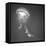 Medusa 1-Moises Levy-Framed Premier Image Canvas