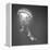 Medusa 1-Moises Levy-Framed Premier Image Canvas