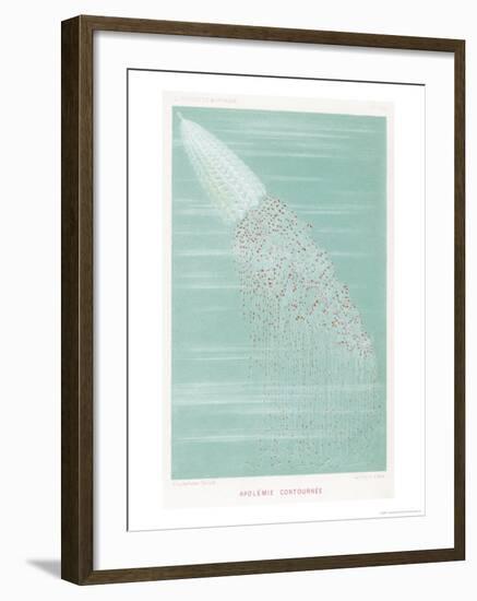 Medusa, a Kind of Jellyfish-P^ Lackerbauer-Framed Giclee Print