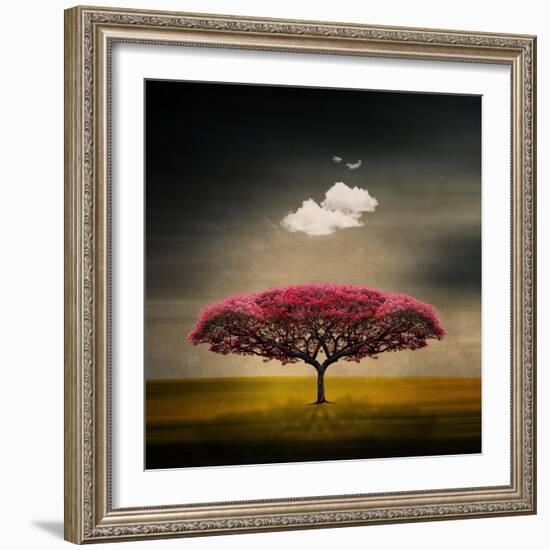 Medusa Cloud-Philippe Sainte-Laudy-Framed Giclee Print