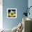 Medusa Rain-Philippe Sainte-Laudy-Framed Premium Photographic Print displayed on a wall