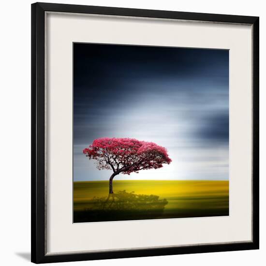 Medusa-Philippe Sainte-Laudy-Framed Photographic Print