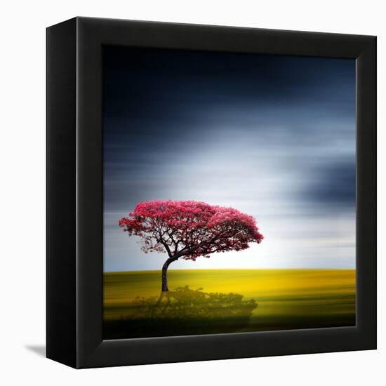 Medusa-Philippe Sainte-Laudy-Framed Premier Image Canvas