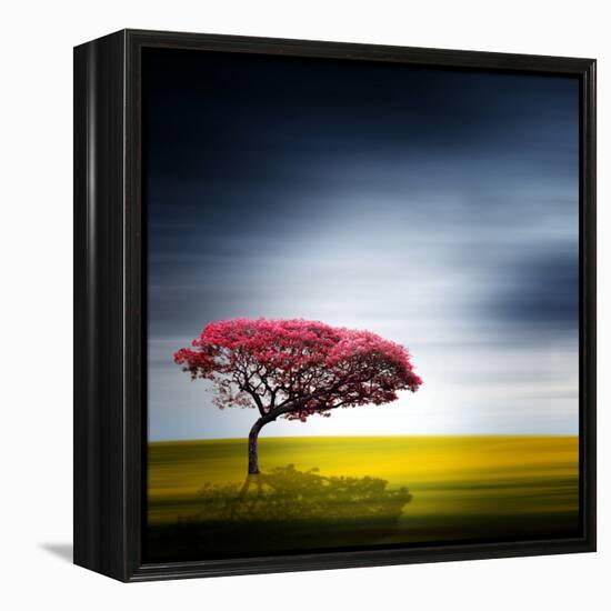 Medusa-Philippe Sainte-Laudy-Framed Premier Image Canvas