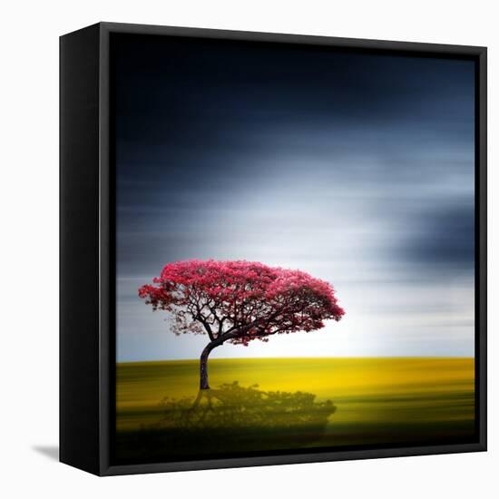 Medusa-Philippe Sainte-Laudy-Framed Premier Image Canvas