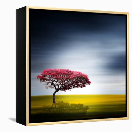 Medusa-Philippe Sainte-Laudy-Framed Premier Image Canvas