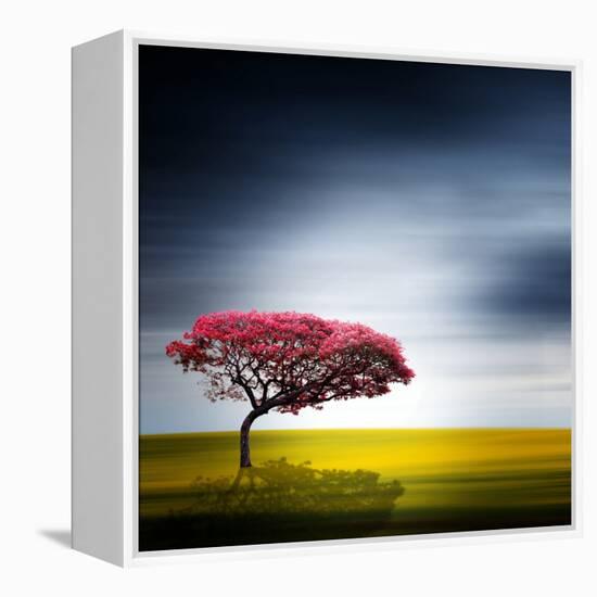 Medusa-Philippe Sainte-Laudy-Framed Premier Image Canvas