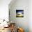 Medusa-Philippe Sainte-Laudy-Photographic Print displayed on a wall