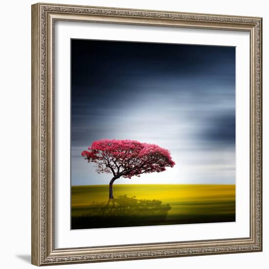 Medusa-Philippe Sainte-Laudy-Framed Photographic Print