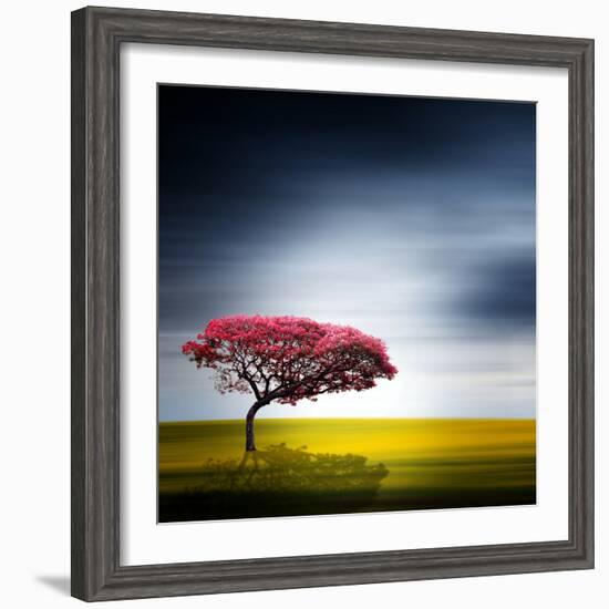 Medusa-Philippe Sainte-Laudy-Framed Photographic Print