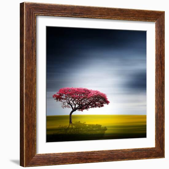 Medusa-Philippe Sainte-Laudy-Framed Photographic Print