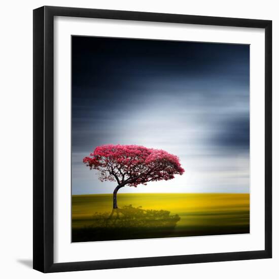 Medusa-Philippe Sainte-Laudy-Framed Photographic Print