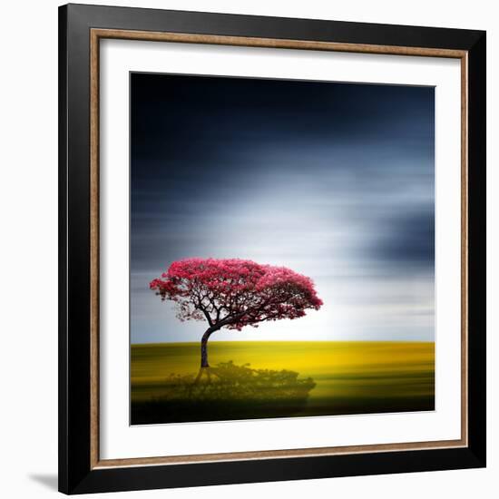 Medusa-Philippe Sainte-Laudy-Framed Photographic Print