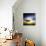 Medusa-Philippe Sainte-Laudy-Photographic Print displayed on a wall