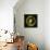 Medusa-Caravaggio-Framed Premier Image Canvas displayed on a wall