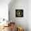 Medusa-Caravaggio-Framed Stretched Canvas displayed on a wall