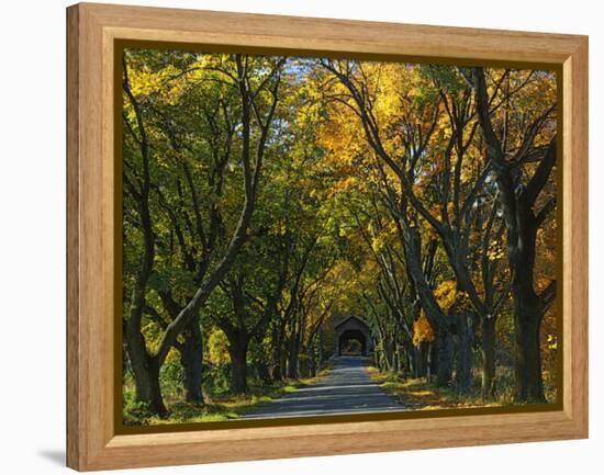 Meems Bottom Covered Bridge, Shenandoah County, Virginia, USA-Charles Gurche-Framed Premier Image Canvas