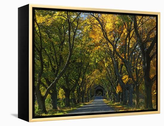 Meems Bottom Covered Bridge, Shenandoah County, Virginia, USA-Charles Gurche-Framed Premier Image Canvas