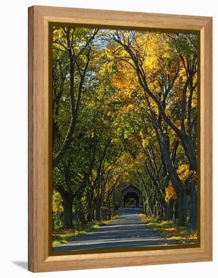 Meems Bottom Covered Bridge, Shenandoah County, Virginia, USA-Charles Gurche-Framed Premier Image Canvas