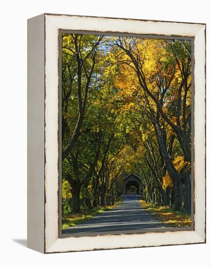 Meems Bottom Covered Bridge, Shenandoah County, Virginia, USA-Charles Gurche-Framed Premier Image Canvas