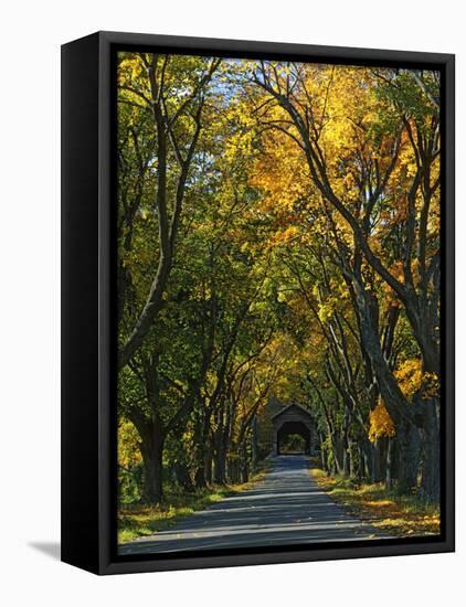 Meems Bottom Covered Bridge, Shenandoah County, Virginia, USA-Charles Gurche-Framed Premier Image Canvas