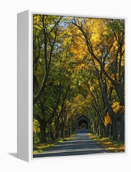 Meems Bottom Covered Bridge, Shenandoah County, Virginia, USA-Charles Gurche-Framed Premier Image Canvas