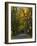 Meems Bottom Covered Bridge, Shenandoah County, Virginia, USA-Charles Gurche-Framed Photographic Print