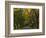 Meems Bottom Covered Bridge, Shenandoah County, Virginia, USA-Charles Gurche-Framed Photographic Print