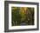 Meems Bottom Covered Bridge, Shenandoah County, Virginia, USA-Charles Gurche-Framed Photographic Print