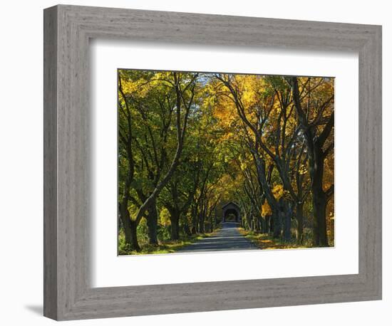 Meems Bottom Covered Bridge, Shenandoah County, Virginia, USA-Charles Gurche-Framed Photographic Print