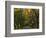 Meems Bottom Covered Bridge, Shenandoah County, Virginia, USA-Charles Gurche-Framed Photographic Print