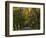 Meems Bottom Covered Bridge, Shenandoah County, Virginia, USA-Charles Gurche-Framed Photographic Print