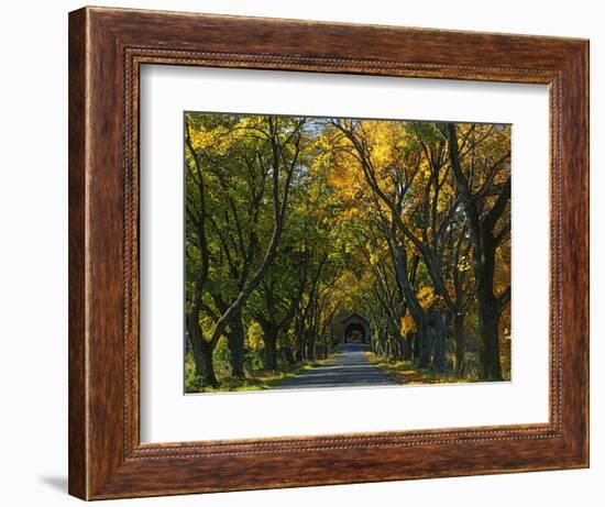 Meems Bottom Covered Bridge, Shenandoah County, Virginia, USA-Charles Gurche-Framed Photographic Print