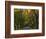 Meems Bottom Covered Bridge, Shenandoah County, Virginia, USA-Charles Gurche-Framed Photographic Print