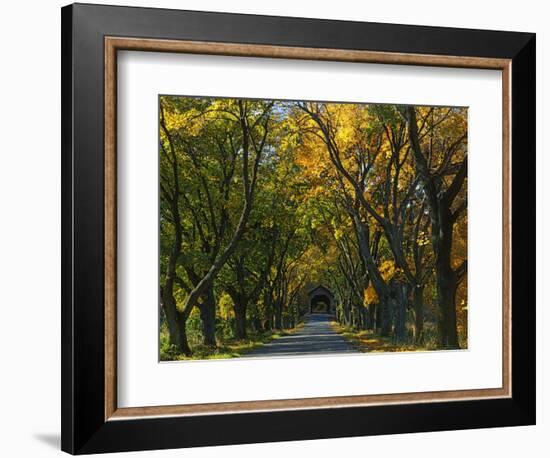 Meems Bottom Covered Bridge, Shenandoah County, Virginia, USA-Charles Gurche-Framed Photographic Print