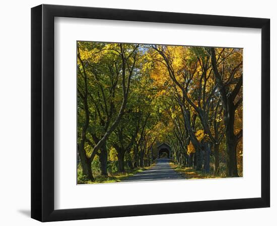 Meems Bottom Covered Bridge, Shenandoah County, Virginia, USA-Charles Gurche-Framed Photographic Print