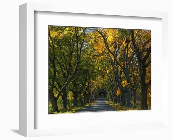 Meems Bottom Covered Bridge, Shenandoah County, Virginia, USA-Charles Gurche-Framed Photographic Print