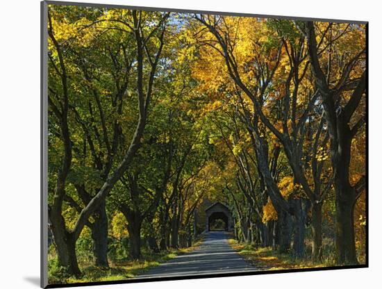 Meems Bottom Covered Bridge, Shenandoah County, Virginia, USA-Charles Gurche-Mounted Photographic Print